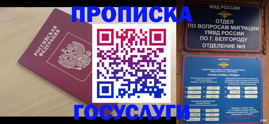 прописка законно в Орловской области